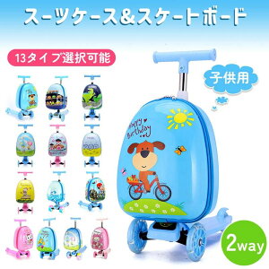 X[cP[X qX[cP[X 13^CvI LbYL[P[X qpXN[^[ו g[P[X 񍇈  ܂肽ݎ