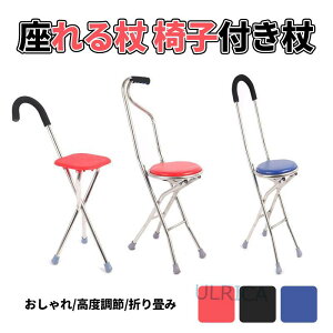  ֎qt XebL`FA ֎qɂȂ  { r XebL `FA[ c v[g   Or 