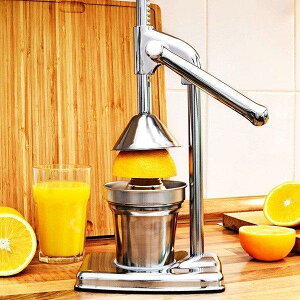 nh W[T[ ʏ`i 蓮 W[T[ XeX ʏ`  W[X i tbVW[T[