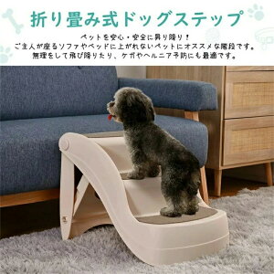 pXebv ݑ 3i ybgXebv ybgKi p  ybg ݑ ̊Ki hbO Xebv PKh~ L   X 