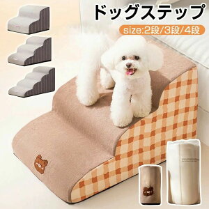 hbOXebv  ybg Xebv Ki ^^^  ݑ L e͂̃X|W i ~j`A_bNX ` v[