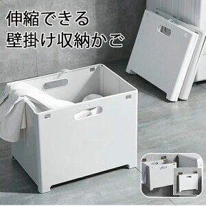 Lk [ 󂩂 [JS h[ oXPbg ܂ X JS  ܏ e h[{bNX 