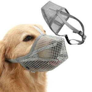   p}Y ʋC bV ʖih~ ݕth~ Ƌݖh~ EHh~ rߖh~ p ^ ^ ^p