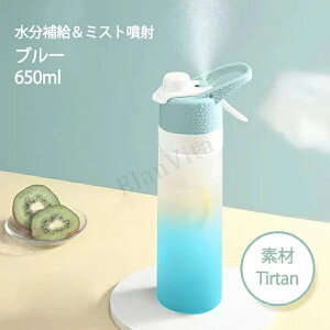 hN~Xg  650ml LbY ~Xg@\thN{g Lbvt ~Xg Xv[ {g Of[V ␅ EH[^[{g gѕ֗ q e y  ̎q