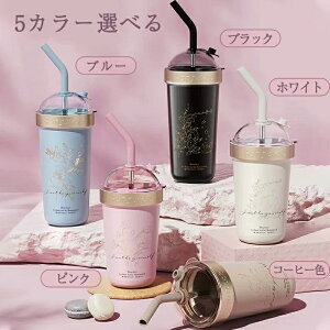   l q Xg[  5J[ R[q[Jbv ~NeB[ 316LXeX ۉۗ ^d\ ^fM @r 700/900ml e  ct ct R