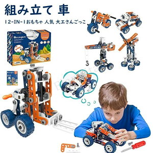 gݗ  12-IN-1 lC H񂲂 j̎q ̎q ̃pY ˂  ԃZbg hCo[ HZbg q 152s[X f gݗĂ ό` mߋ [{