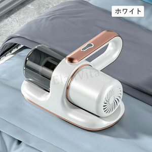 zcN[i[ ӂƂN[i[ _j uv 99% ybg̖ N[i[ R[hX |@ z13000Kpa nfB[N[i[ J[ybg TCN _jގ zc \t@ 