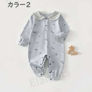 xr[ Jo[I[ V  100%Rbg ʋC {[ɂȂɂ m[V[ DڂȂ  K xr[pi A Ki S S Z[[J[ ؍ xr[ 