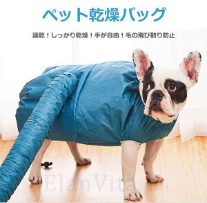 ybg ybg  p obO oX[u Vv[ f ybghChC[⏕ oXObY C  ʋC y т̔юUh~ ֗ h g