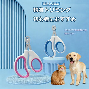 ی L ܐ؂ S  ܐ؂ Ȃ ؂ꖡ L  SzȂS ݌v L ܐ؂ Ȃ Obv ܐ؂萅 ł