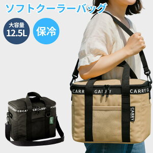 ۗobO ۉ N[[obO AEghA e  g[g Lv [ RpNg y h t@Xi[ \tgN[[ }` ^ ۗobN GB CARRY