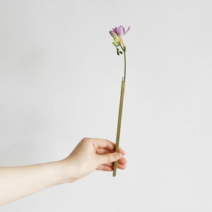 _P2{{N[|^ǂɊ|Ďg BRASS̃XeBbNt[x[XiLTCYjb^J BRASS uX AeB[N Vv fBXvC Be CeA ^JG t[x[X Ǌ|