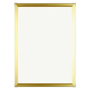 Eフレーム【420mm×594mm:A2サイズ】(額縁内寸)アルミ製額縁/アルミポスターフレーム全4色・オーダーメイド も可能!【受注生産】【発送までに 約7-10営業日】【額縁以外の商品と同送不可