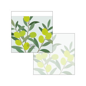 _P2{{N[|^XNGA pbhb  킢 Vv t[c CXg A Jt ` ܂莆 bsO Aj}  L F  S  C`SbMATOKA 