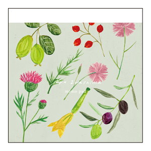 _P2{{N[|^XNGA pbhb A ԕ eLX^C CXg ʕ XY XC[gs[ NbJX [Y W  킢bMATOKA }gJ