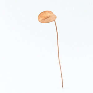 _P2{{N[|^؂Ԃ𒷂ꂢɕۂƂł ̃t[CtXeBbN EH[^[|s[/N[o[b COPPER AeB[N Vv fBXvC CeA G 