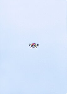 蒠 2025 }gJ 2025N4n܂蒠 _CA[ XPW[bB6TCY EB[N[EubNiTԃubNELjw|CgbPOINTx yM E[p[[p[ V}