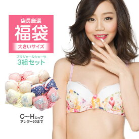 楽天市場 ブラジャー 大きいサイズ 福袋 インナー 下着 ランジェリー レディース インナー 下着 ナイトウェアの通販