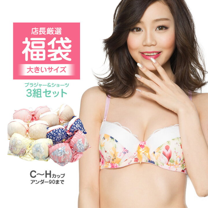 楽天市場 大きいサイズ グラマーサイズ ブラジャー ショーツ 下着 3点セット 22 福袋 レディース かわいい フェミニン エレガント 刺繍 総レース 脇高ブラ Cdefghカップ Luckybag アンダー70 90まで 送料無料 インナー通販エルドシック
