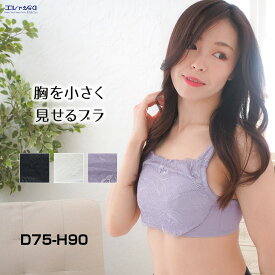 34%OFF 小さく見せるブラ 小さくみせる 胸を小さく見せるブラ ミニマイザー 補正ブラ 補正下着 ブラジャー 大きいサイズ グラマーサイズ チラ見え防止 胸元カバー 送料無料