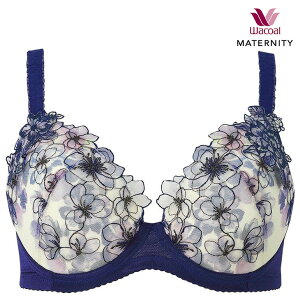 yGg[3_wP10{2_5{z 15%OFF R[v~A }^jeB[ uW[ LCɂ݂Ă₳u u }^jeB YOEY㌓p 3/4Jbv MBY554 DJbv