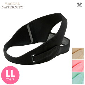 20%OFF R[ }^jeB[ YO&Y Ճxg Yɂ LLTCY MGY690