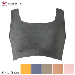 yGg[3_wP10{2_5{z 15%OFF R[ }^jeB[ YOY㌓p GOCOCi n[tgbv MMS747