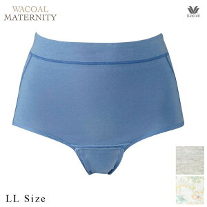 yGg[3_wP20{2_10{z 15%OFF R[ Wacoal }^jeB @EoYɁI Y傭pV[ciJj MPQ759 LL