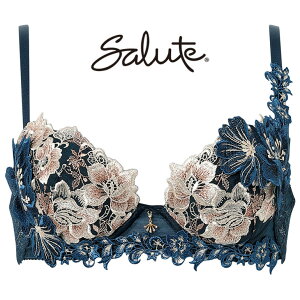 �y�ő�800�~OFF�N�[�|���z 20%OFF �T���[�g Salute 28�O���[�v 28G ���[�� �u���W���[ �v�b�V���A�b�v�u�� 3/4 DEF�J�b�v ���� �����W�F���[ ���R�[�� Wacoal BTJ428