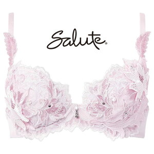 �y�G���g���[��3�_�w����P10�{�z 20%OFF �T���[�g Salute 32�O���[�v 32G �u���W���[ �v�b�V���A�b�v�u�� 3/4 DEF�J�b�v ���� �����W�F���[ ���R�[�� Wacoal BTJ432
