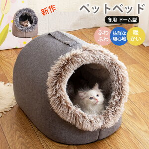 Lxbh LpnEX Lxbhg ybgxbh p ^ p ΍ ۉh Lp p g ~΍ ybgpi 킢