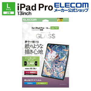 GR iPad Pro 13inch M4 p KXtB Sn Pg^Cv KCht[t KX t یtB ELECOM TB-A25PLFLGAPLL