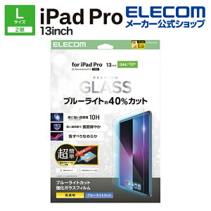 GR iPad Pro 13inch M4 p KXtB u[CgJbg ȒP\tc[t KX t یtB ELECOM TB-A25PLFLGGBLT