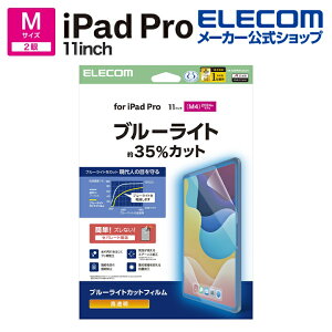 GR iPad Pro 11inch M4 p tB  u[CgJbg t یtB ELECOM TB-A25PMFLBLGN