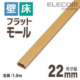 エレコム フラットモール 壁/床用 ケーブルカバー 配線カバー 配線モール ブラウン 1m 幅22mm LD-GAF2/BR