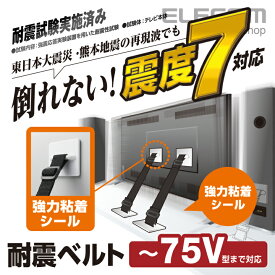 エレコム 耐震ベルト 粘着シールタイプ 〜75V型テレビ用 2本入 TS-002N2