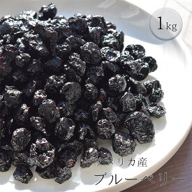 【送料無料】　ブルーベリー　1kg　【アメリカ産】　ドライフルーツ　(カルチベイト種)