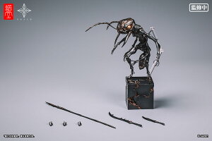 SNAIL SHELL(嗔Vk) a(AgE\W[) 16CMtBMA