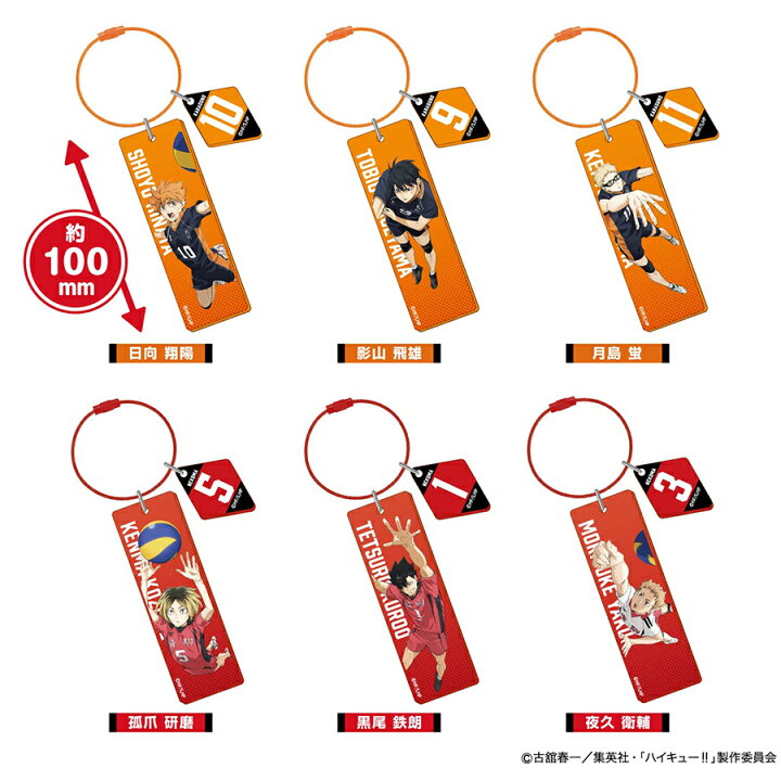 楽天市場】【2024年8月発売予約商品！】 劇場版ハイキュー!! ゴミ捨て 