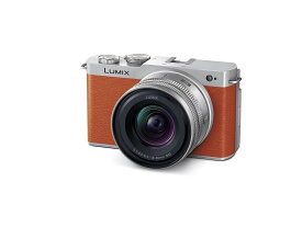 パナソニック(Panasonic) フルサイズ ミラーレス一眼カメラ ルミックス DC-S9N-D 広角ズームレンズキット キャメルオレンジ