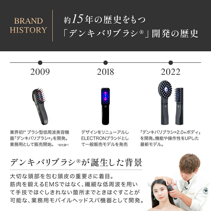 楽天市場】【エレクトロン公式】デンキバリブラシ(R)2.0+ボディ│ 電気 