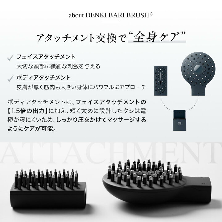 楽天市場】【エレクトロン公式】デンキバリブラシ(R)2.0+ボディ│電気 
