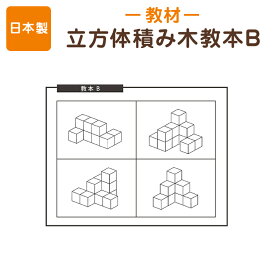 [ポスト投函送料無料] 立方体積み木教本 B(中上級編)42パターン 知育教材