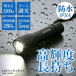 dLED^h  XeBbN LEDƓ 1300lm LED F LED [NCg XeBbNCg nfBCg hJ ho 퓔 RpNg ЊQ ACXI[} LWK-1300Z