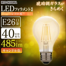 電球 LED LEDフィラメント電球 レトロ風琥珀調ガラス製 40形相当 キャンドル色 LDA4C-G-FK アイリスオーヤマ