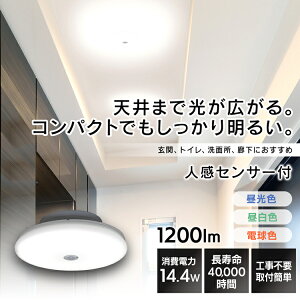 V[OCg ^ 1200lm lZT[ lZT[t 1200lm SCL12LMS-UU dF SCL12NMS-UU F SCL12DMS-UU FV[O LED LEDCg Cg Ɩ dC d ߓd ߖ ȃGl  H