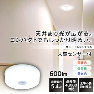 V[OCg ^ 600lm lZT[ ^ ^T[LbgV[Y lZT[t 600lm SCL6LMS-MCHL SCL6NMS-MCHL dF F FV[OCg V[O tȒP RpN