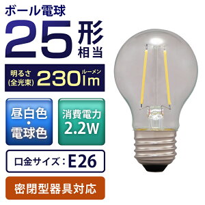 �d�� LED �t�B�������g E26 �~�j�{�[�����^�C�v 25W�`���� 25�`���� LDG2N-G-FC LDG2L-G-FC �����F���� �F���� �Ɩ� ���C�g Light �d�C �d�� ������ ������ ���� ���� ���� ���� raito denki dennkyuu ���邢 ��