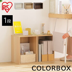 ACXI[} CB{bNX CX-1 ItzCg ItzCgEt`I[NEuEI[N