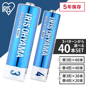 乾電池 単3 単三 単4 単四 電池 送料無料 BIGCAPA basic 単3×40本or単4×40本or単3×20本＋単4×20本 5年保存 アルカリ 電池 乾電池 電池【代金引換不可・日時指定不可】 【メール便】